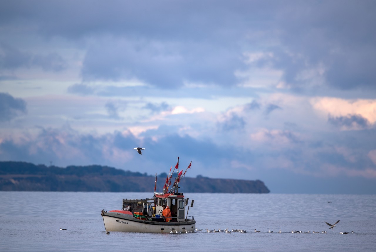 In der Ostsee bot sich Mitarbeitern der Fischereiaufsicht Wismar ein spektakulärer Anblick (Symbolbild).