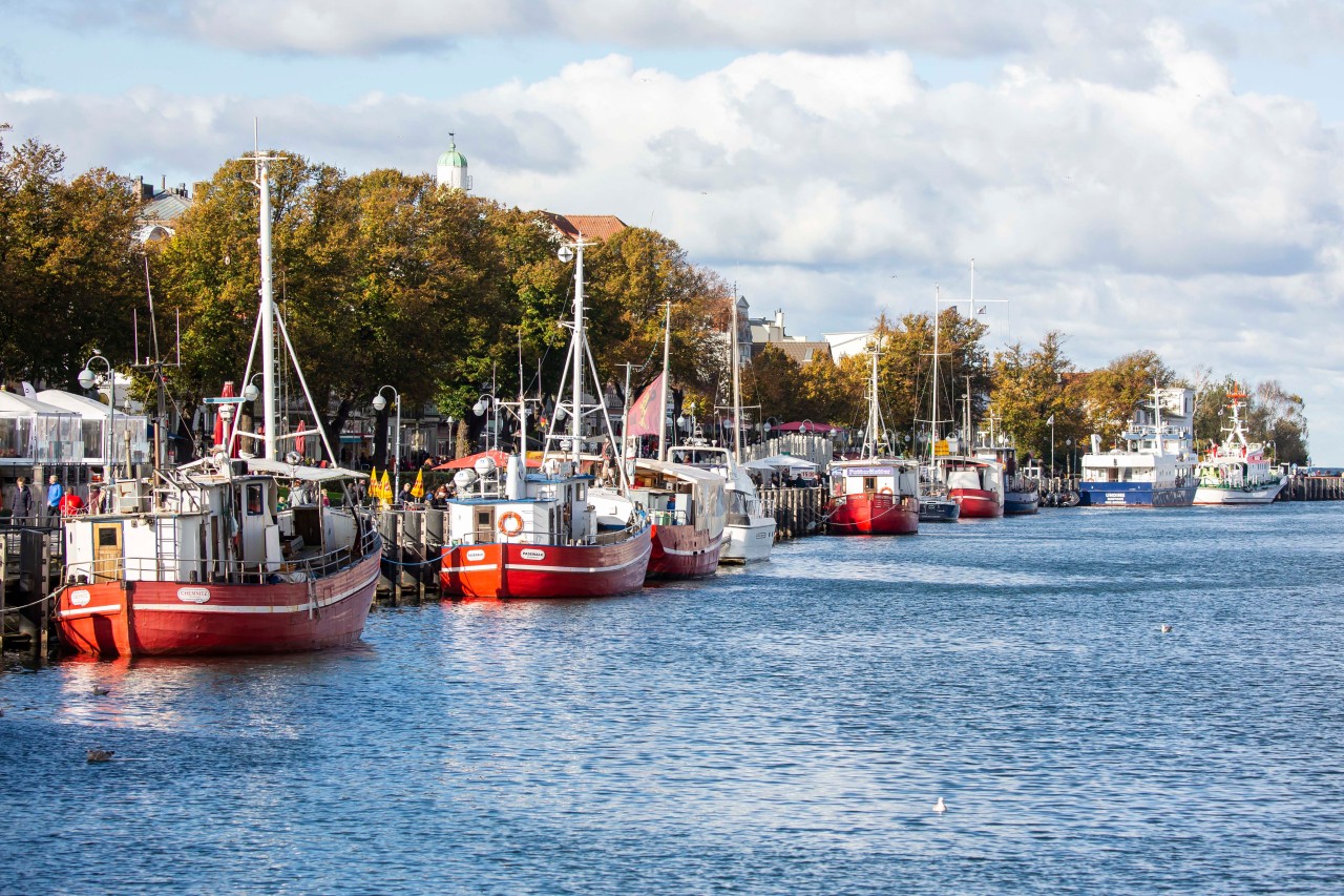 Um die Ostseefischer in Rostock und anderen norddeutschen Häfen steht es nicht gut. 