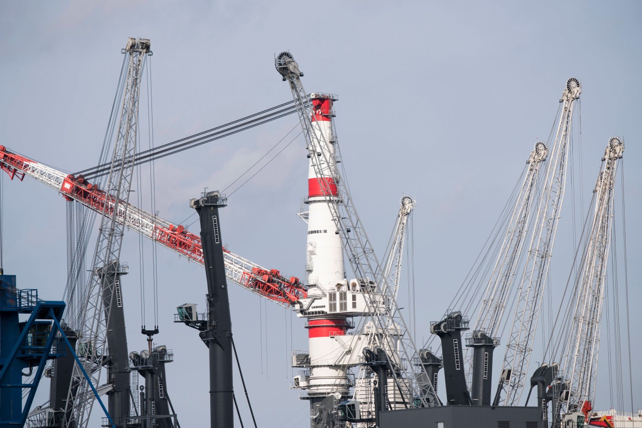 Ärger in Rostock! Grund ist der Überseehafen.