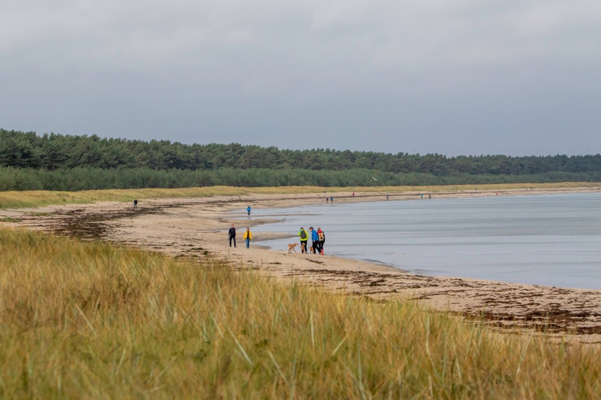 Rügen Ostsee Brackwasser Muschelart Biosphärenreservat Wissenschaftler