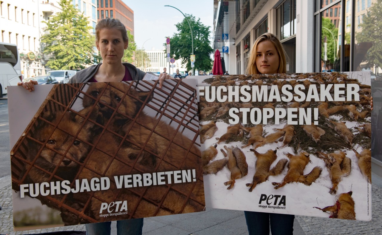 Rügen: Peta bezeichnet die Fuchsjagd als „Hobby“ vieler Jäger und lehnt die Jagd generell ab.
