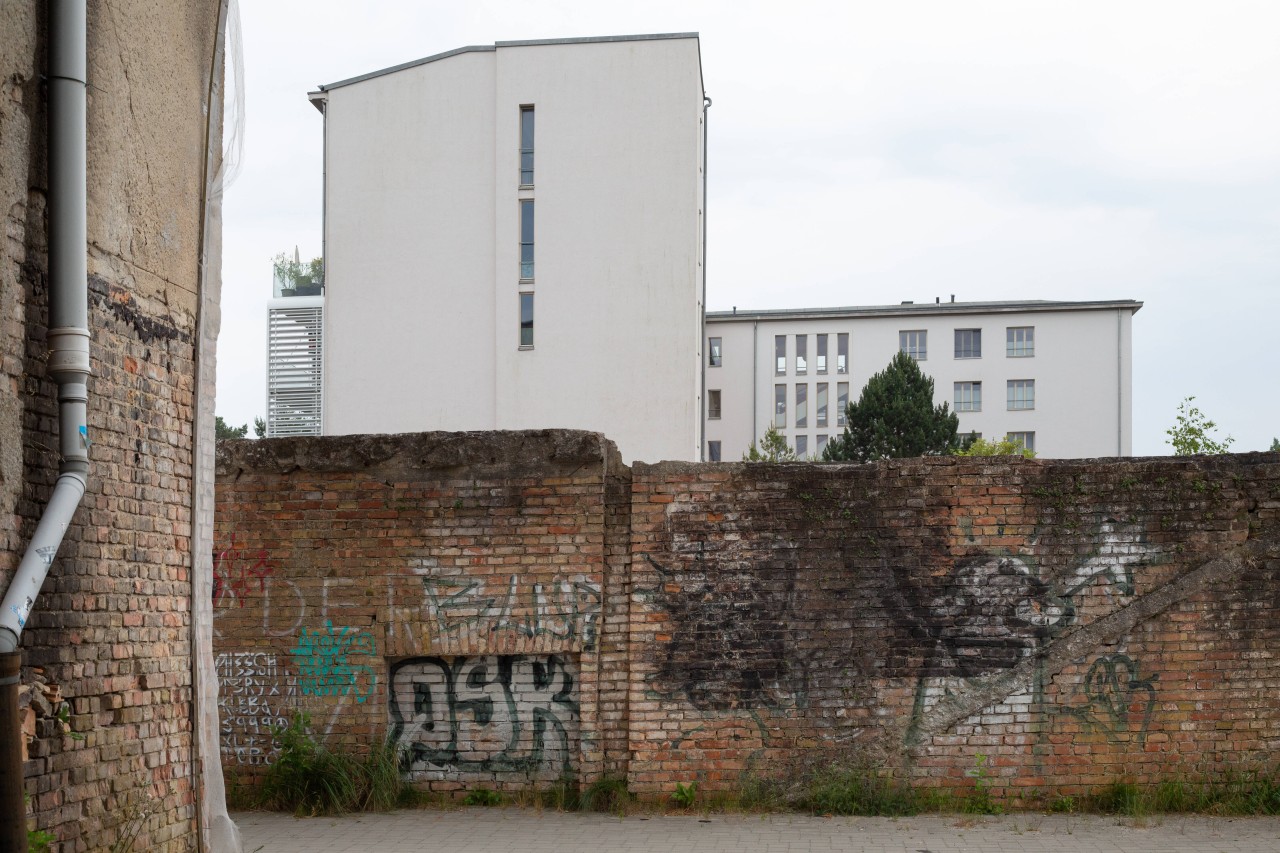 Dieser Anblick spaltet Rügen-Fans in zwei Lager.