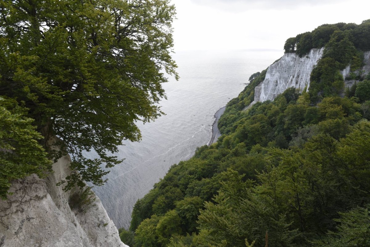 Rügen Steilküste Königsstuhl Hängebrücke