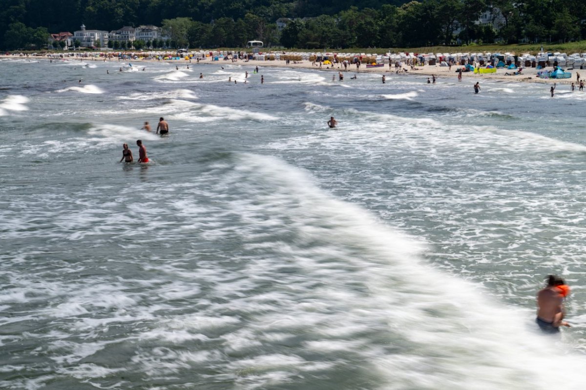 Rügen_schwimmen.jpg