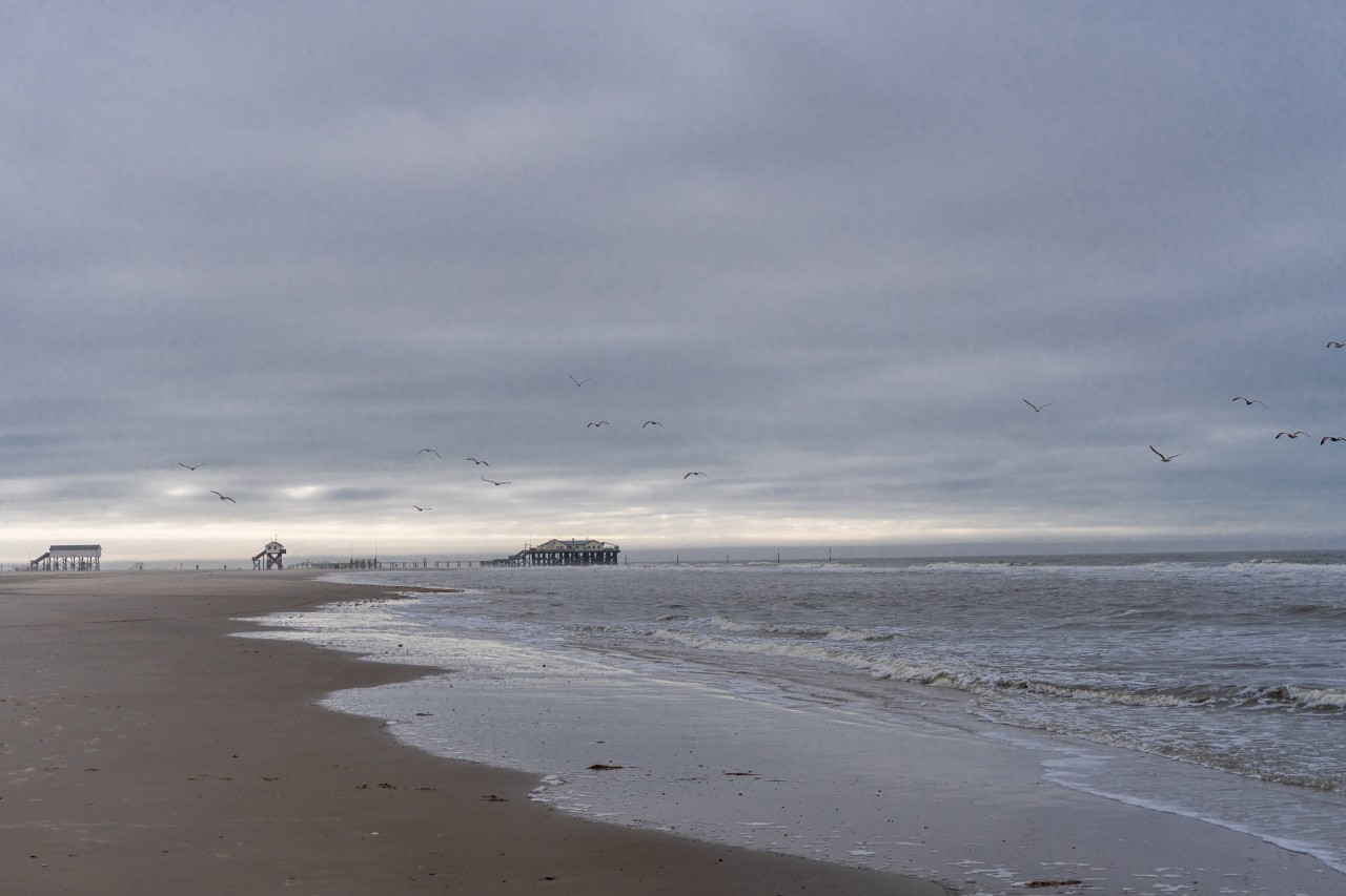 Der Strand von Sankt Peter-Ording.