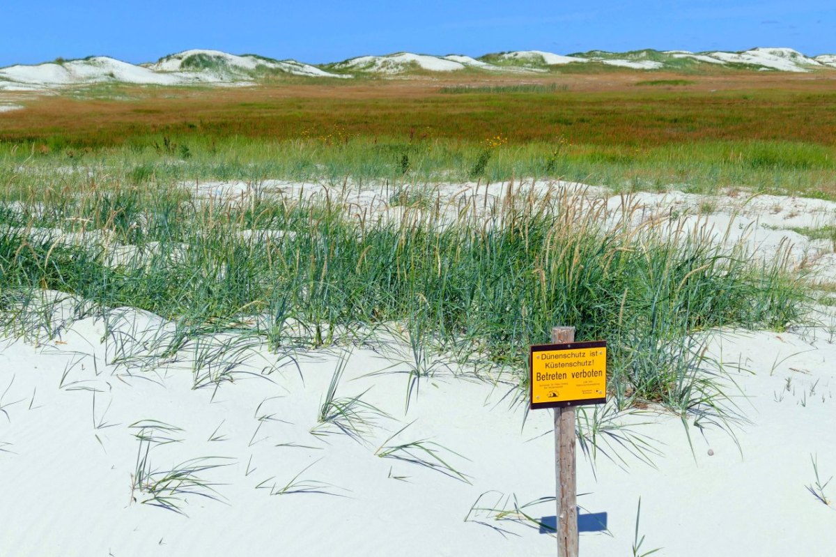 Sankt Peter-Ording SPO Urlauber Tourismus Nordsee Wattenmeer Dünen Naturschutz Strand Verbot Anwohner Küstenschutz