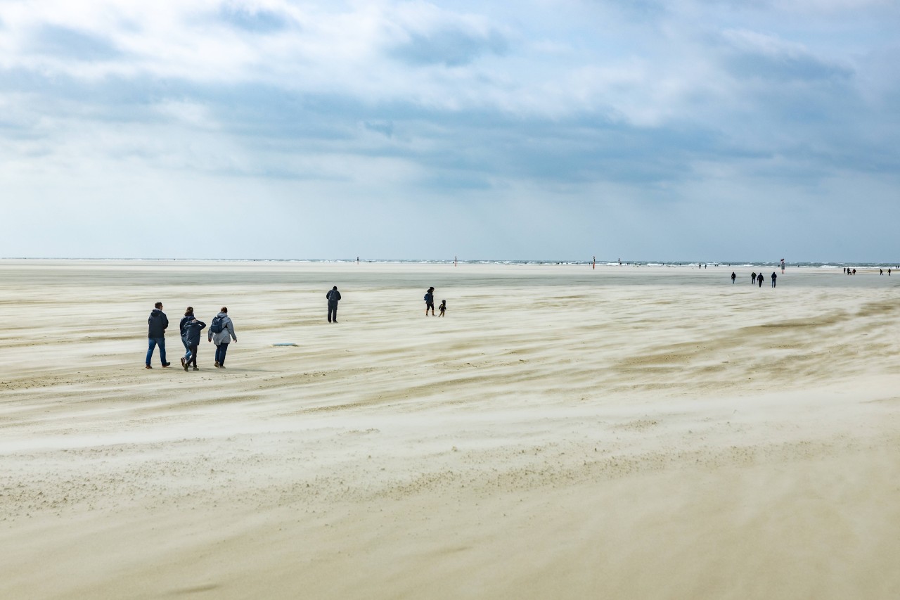 Beim Strandspaziergang in Sankt Peter-Ording hat ein Mann einen seltsamen Fund gemacht (Symbolbild). 