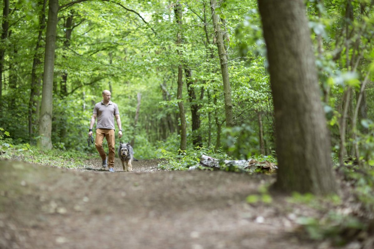 Schleswig-Holstein Lübeck Ostsee Hunde Hasser Hansa Park.jpg