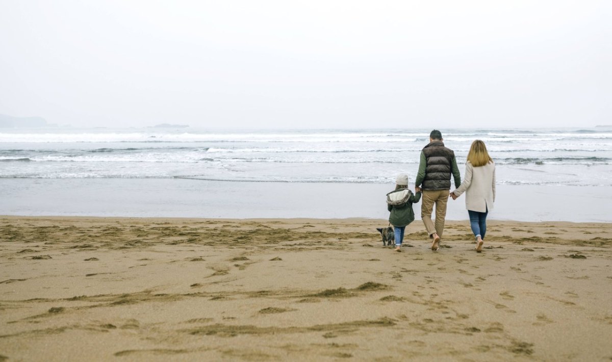 Schleswig-Holstein Strand Kinder Hunde Flensburg Ostseebad