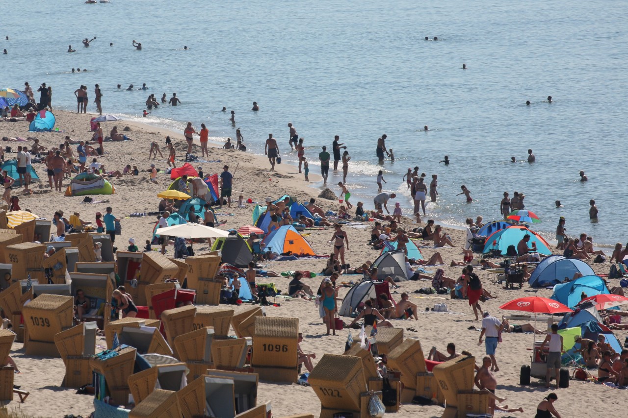 Nicht nur Menschen hallten sich gerne am Strand von Sylt auf. 