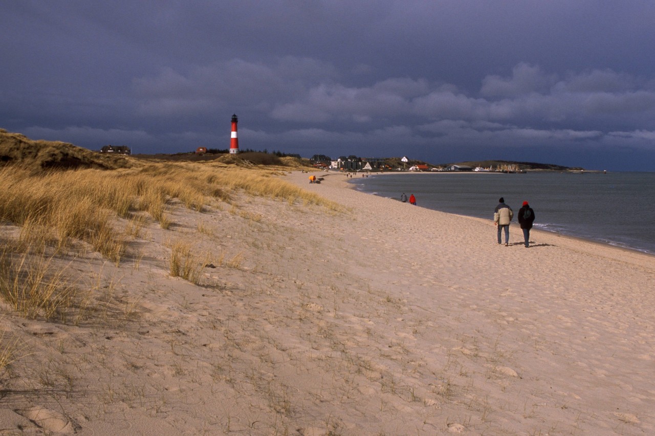 Was eine Frau in Hörnum am Strand fotografiert hat, lässt Fans der Insel Sylt ausrasten.