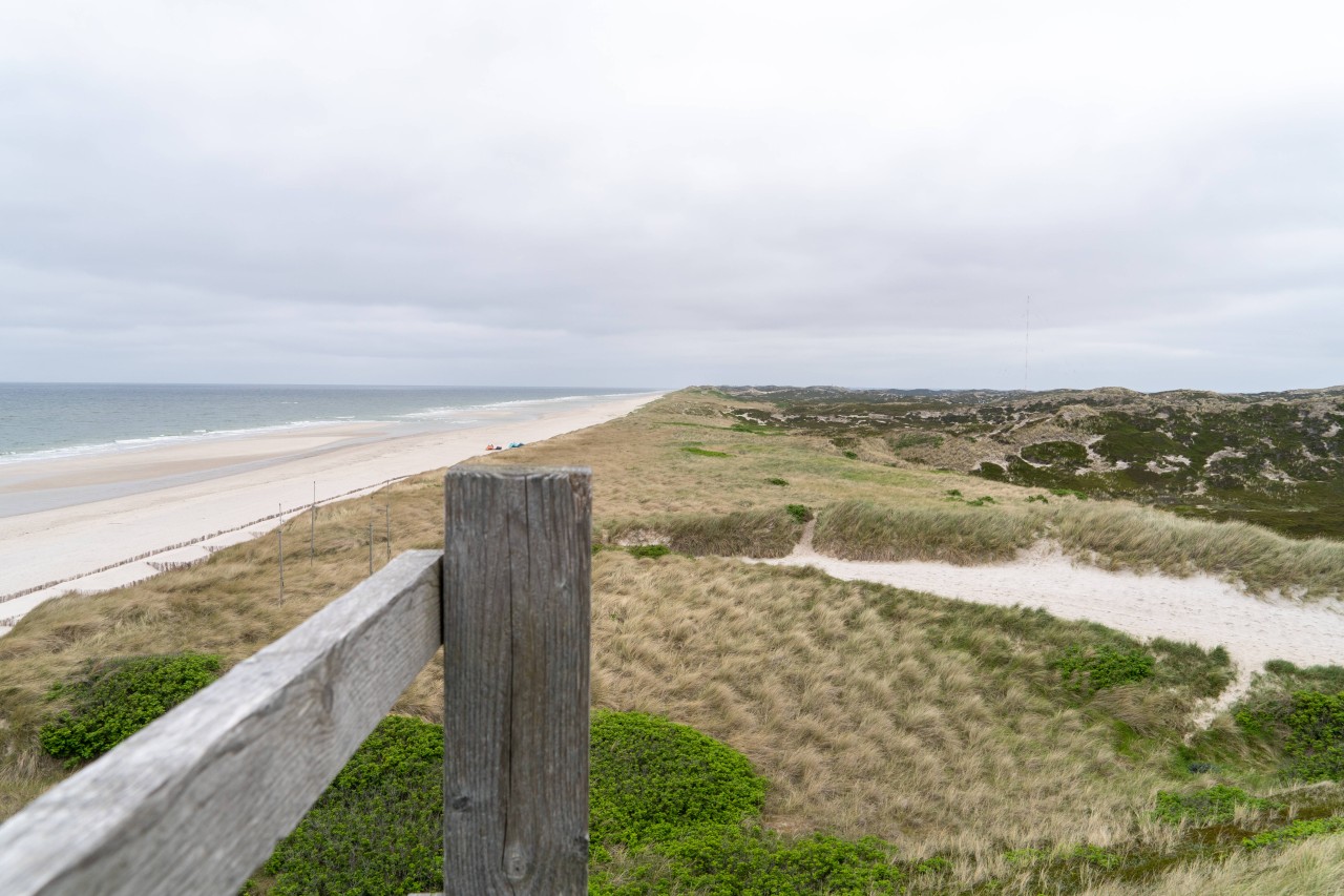 Immer mehr Grünfläche wird bebaut. Auch Sylt ist davon nicht ausgenommen. Der Immobilienmarkt ist hier schon jetzt hart umkämpft.