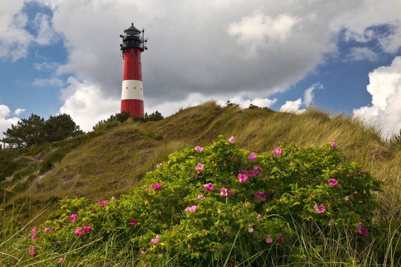 Sylt mit seinen Dünen und Leuchttürmen ist Sehnsuchtsort vieler – und eine Insel, die sich wandelt. 