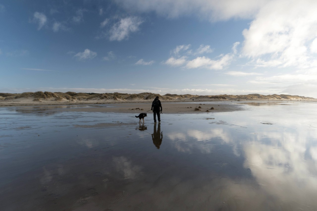 Sylt: Die Geschichte einer Frau berührt viele Insel-Fans (Symbolbild).