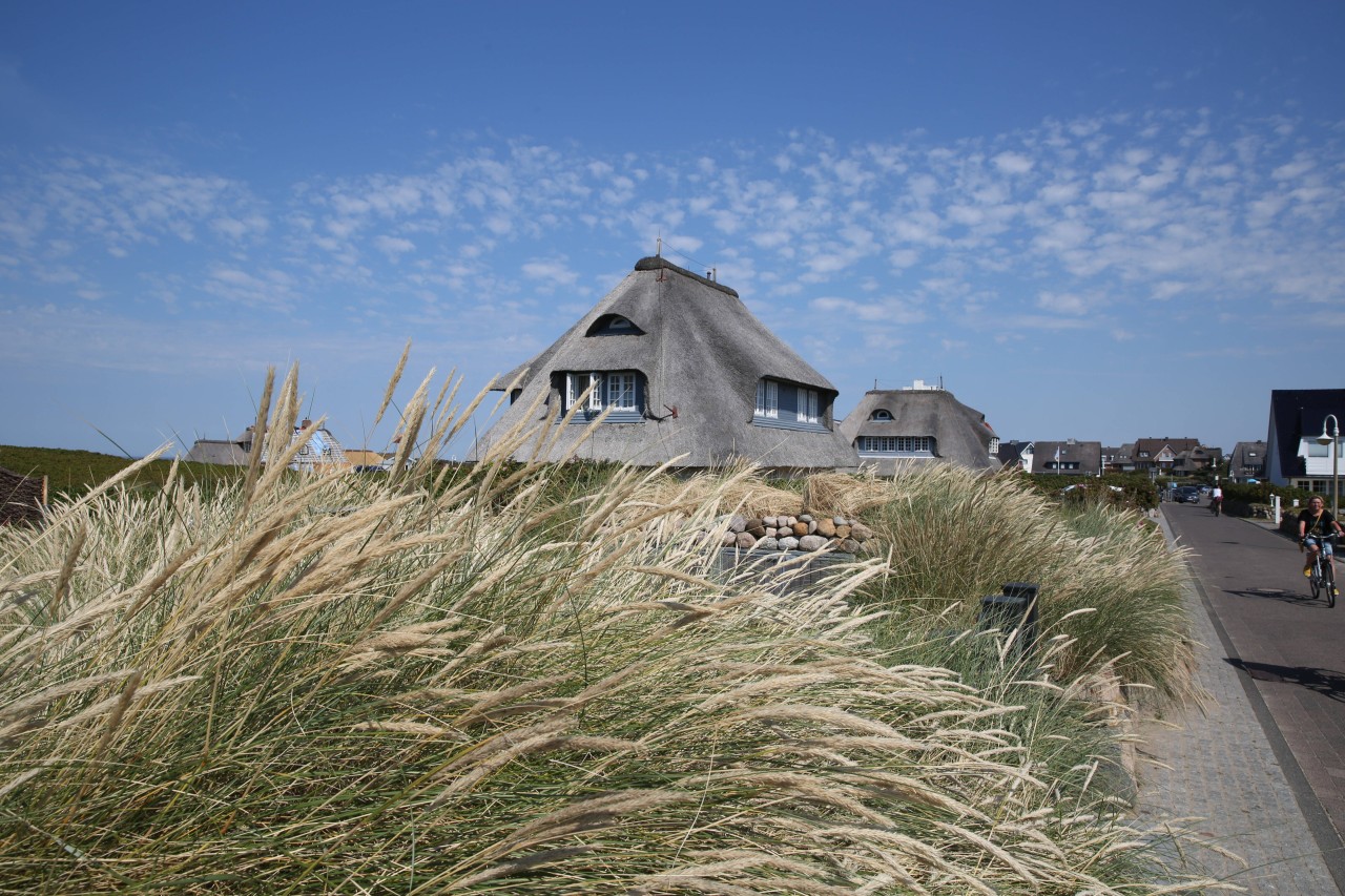 Begehrt, aber für die meisten unbezahlbar: Reetdachhäuser auf Sylt