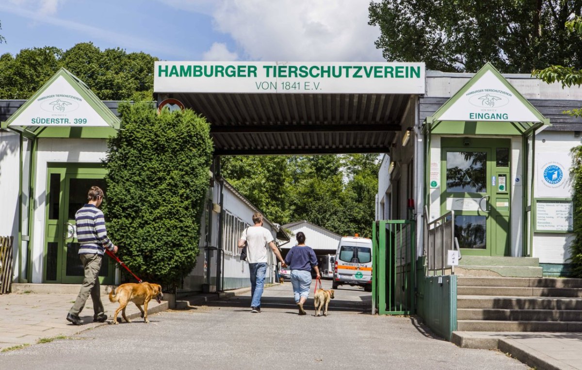 Tierschutzverein Hamburg.jpg