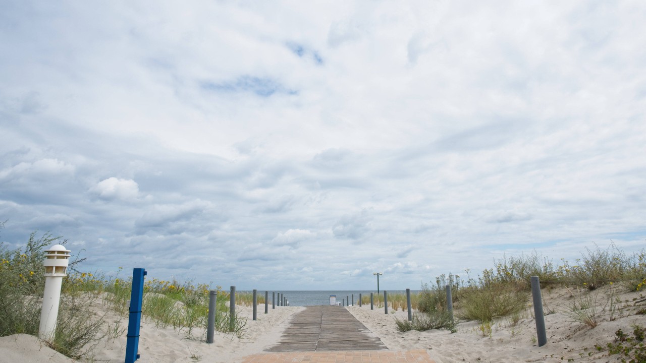 Ein Strandzugang zwischen Dünen auf Usedom.