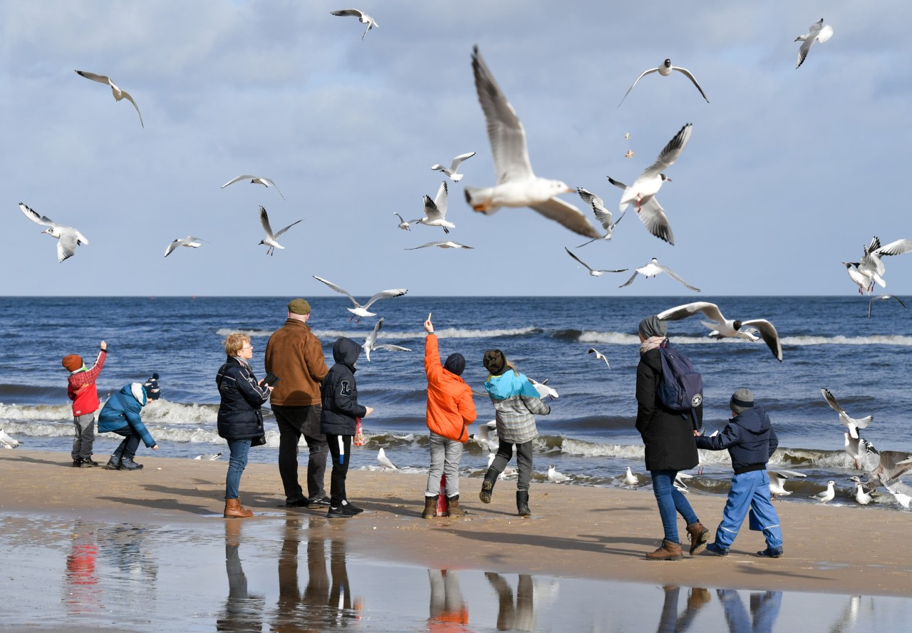 Usedom: Die Temperaturen sind gesunken, trotzdem kommen weiterhin viele Urlauber auf die Insel.