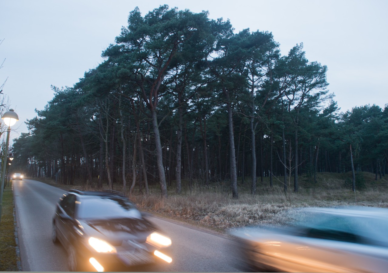 Der Unfall ereignete sich auf einer Landstraße auf Usedom. 