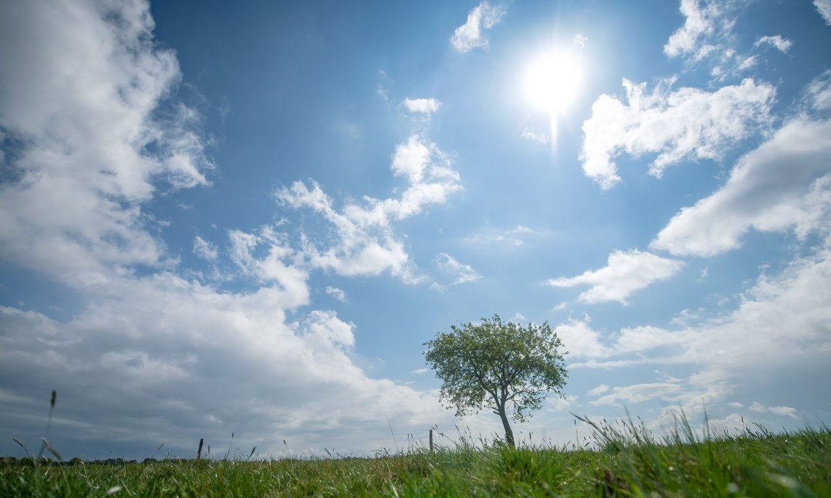 Wetter Hamburg Schleswig-Holstein Donnerstag Freitag.jpg