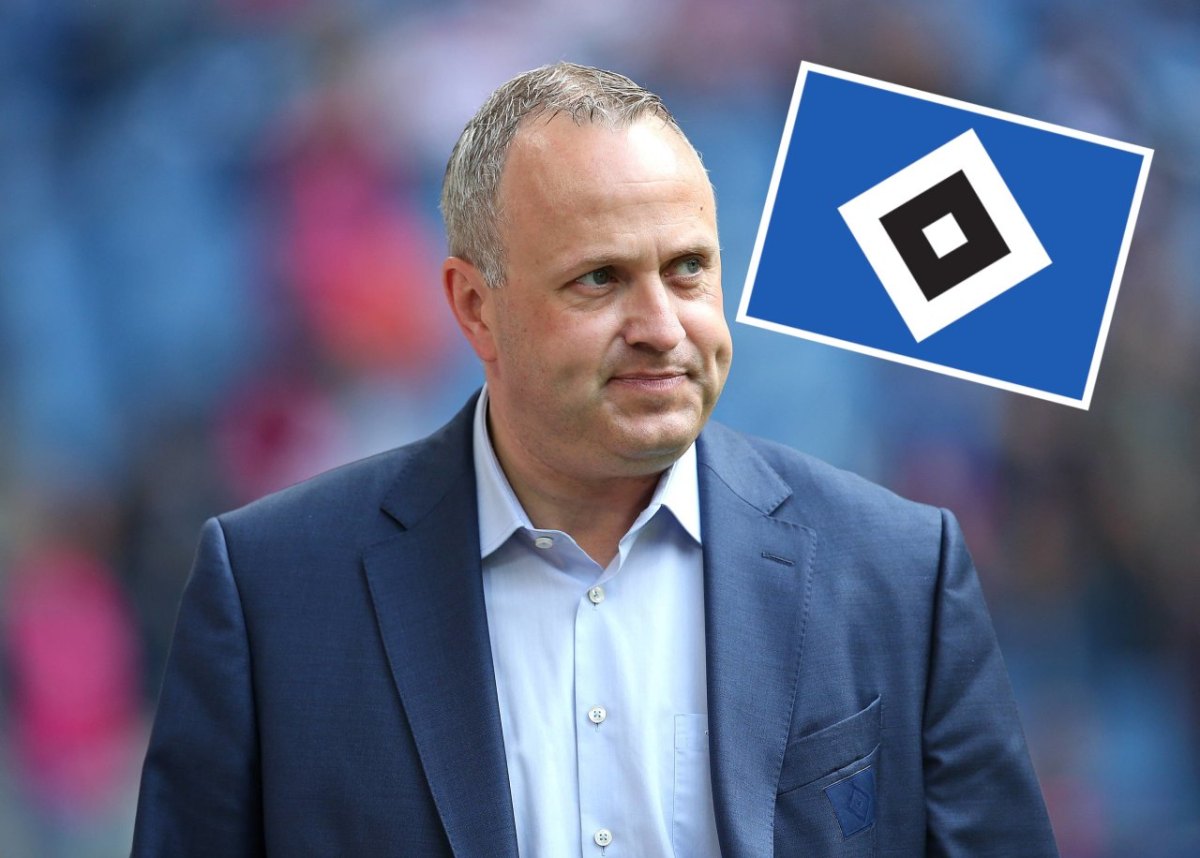 hamburger sv frank wettstein