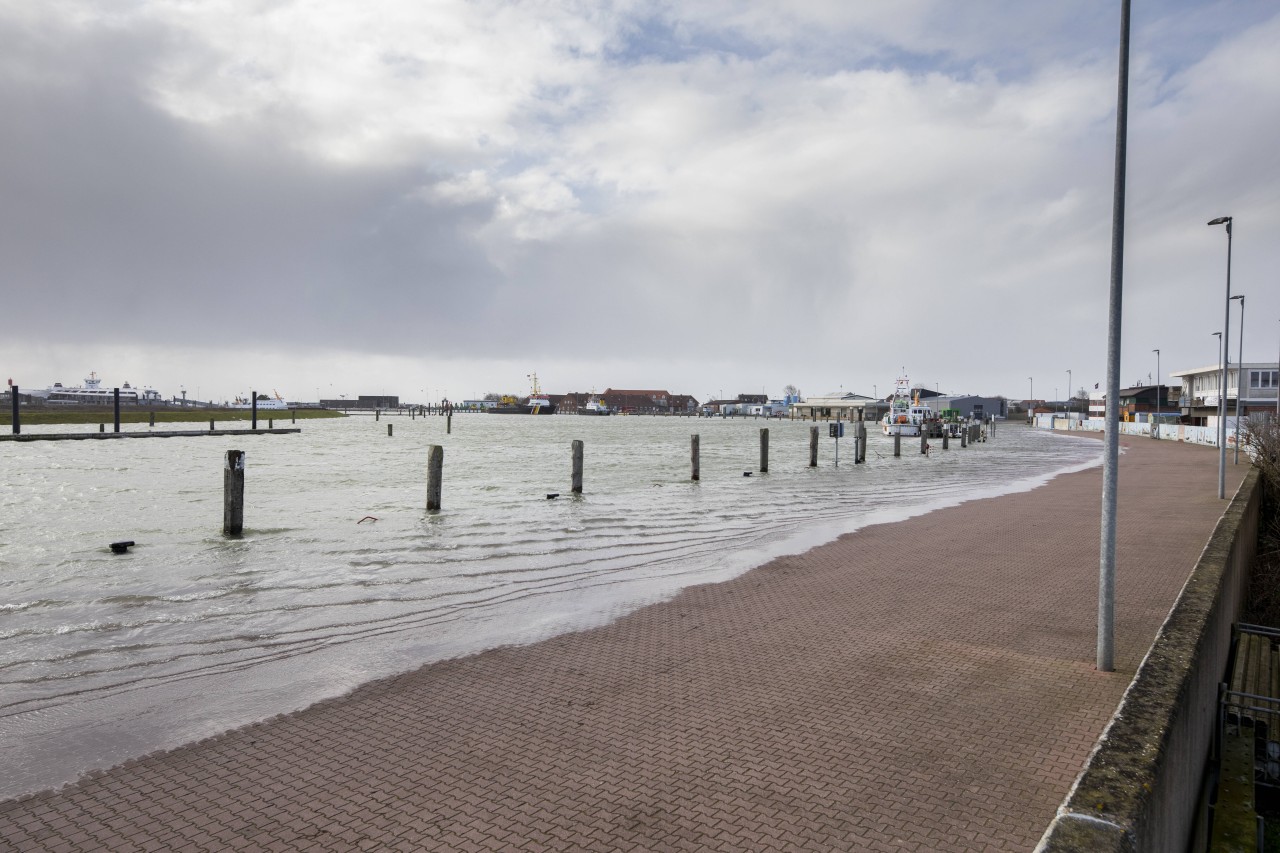 Orkantief Sabine 2020 über der Nordseeküste: Sturmflut drückt Wasser in den Hafen von der nordfriesischen Insel Norderney.