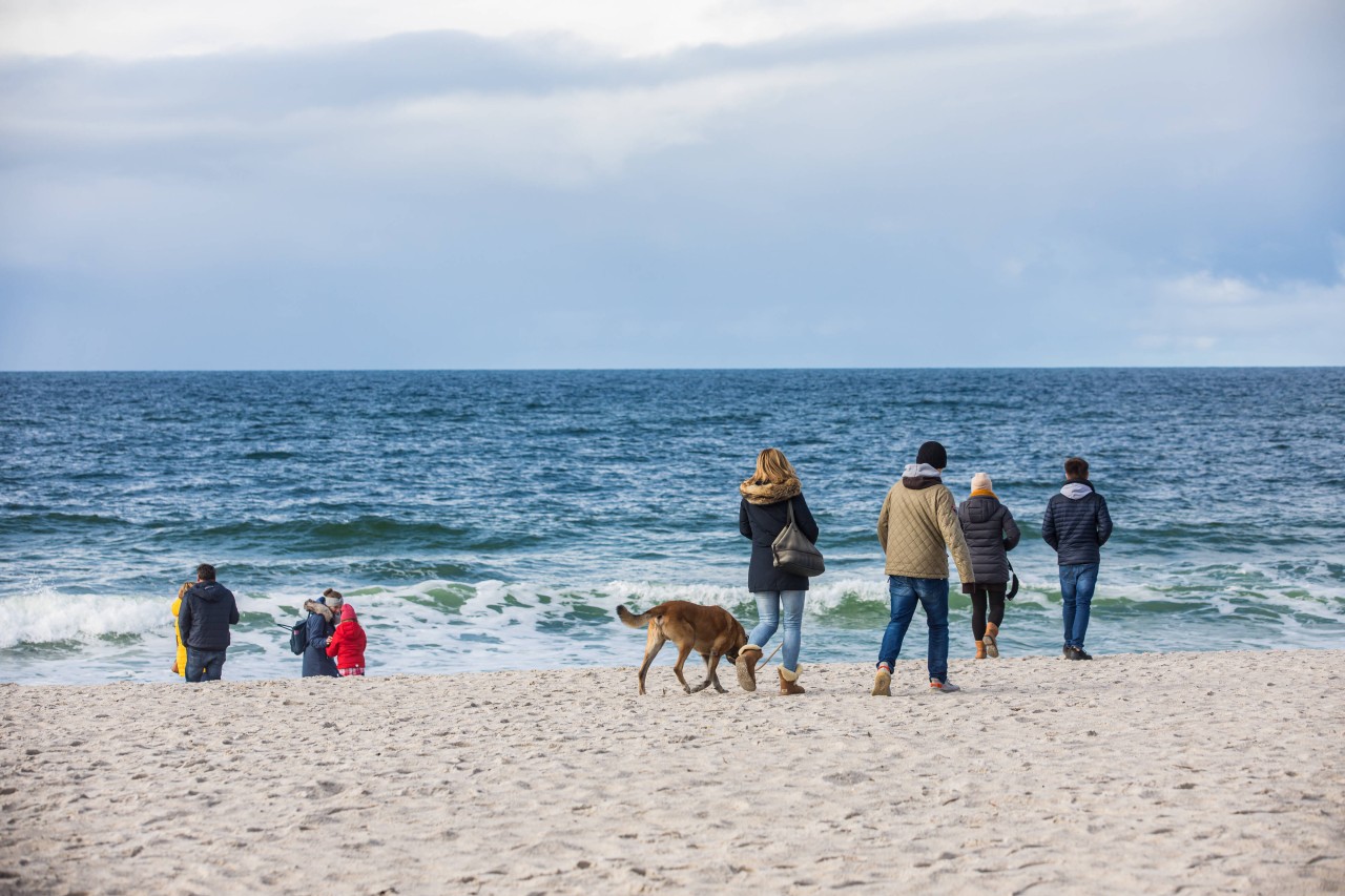 Ein Urlauber-Paar wurde nach seiner Rückkehr von Sylt positiv auf das Coronavirus getestet (Symbolbild). 