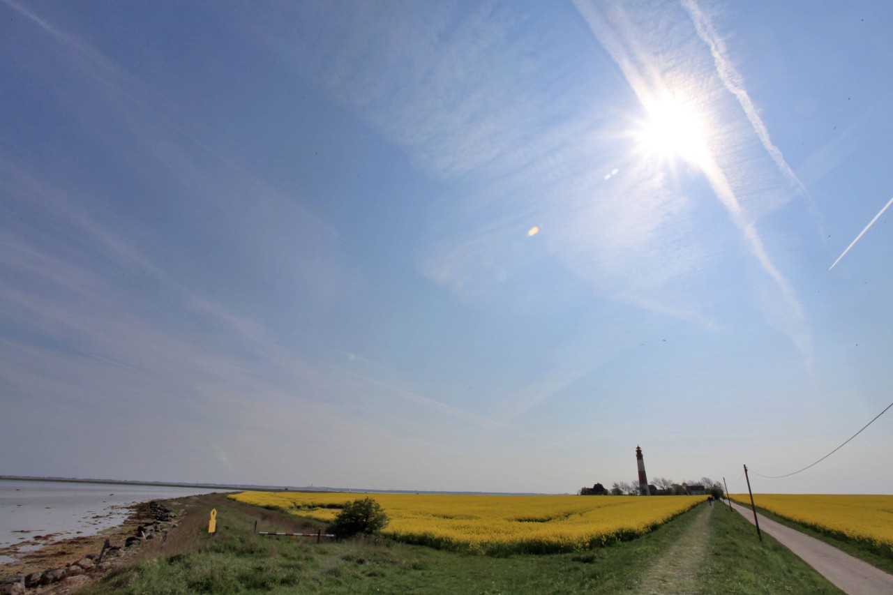 Ganz Fehmarn wird bald anders aussehen. 