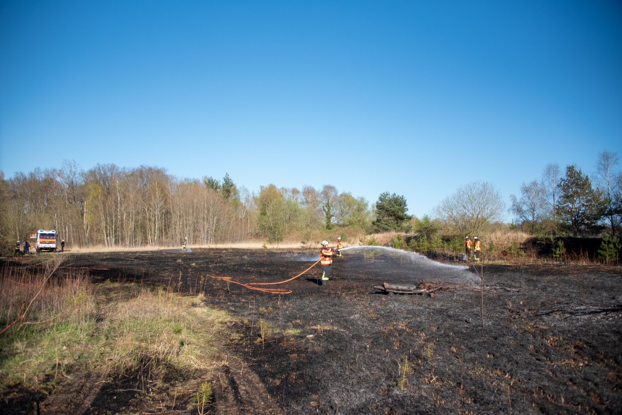 Knapp 40 Feuerwehrleuten waren vor Ort. 