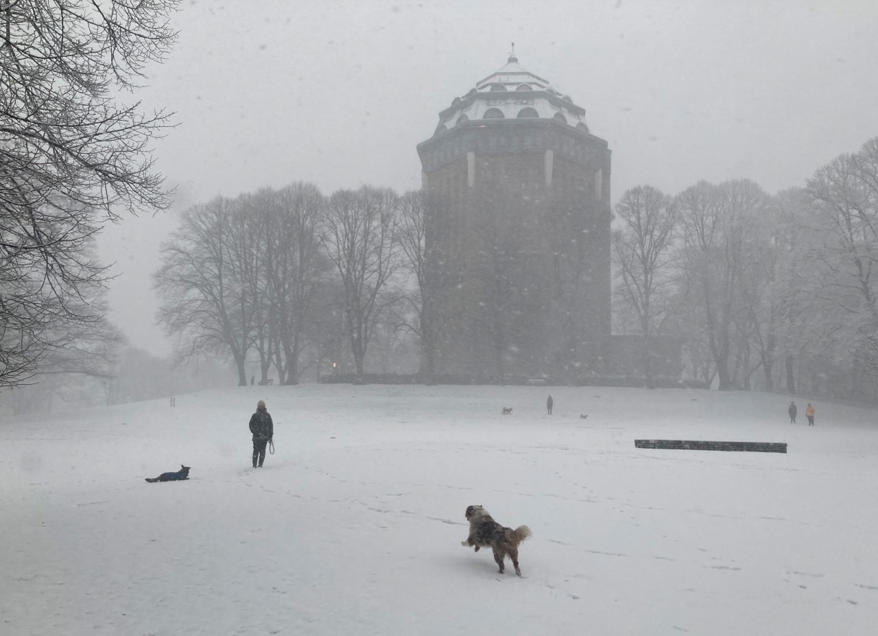 Schneeweiß ist es in Hamburg am Donnerstagmorgen.