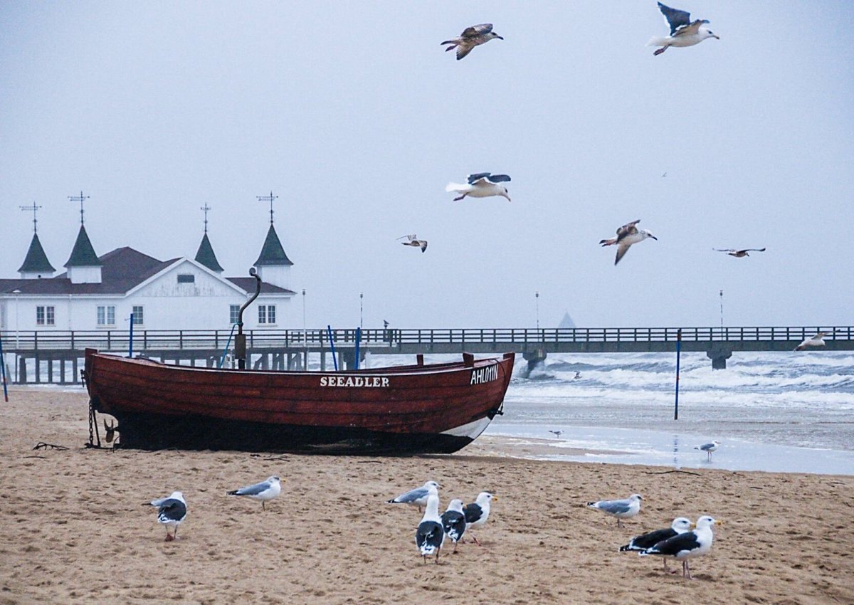 Nordsee.jpg
