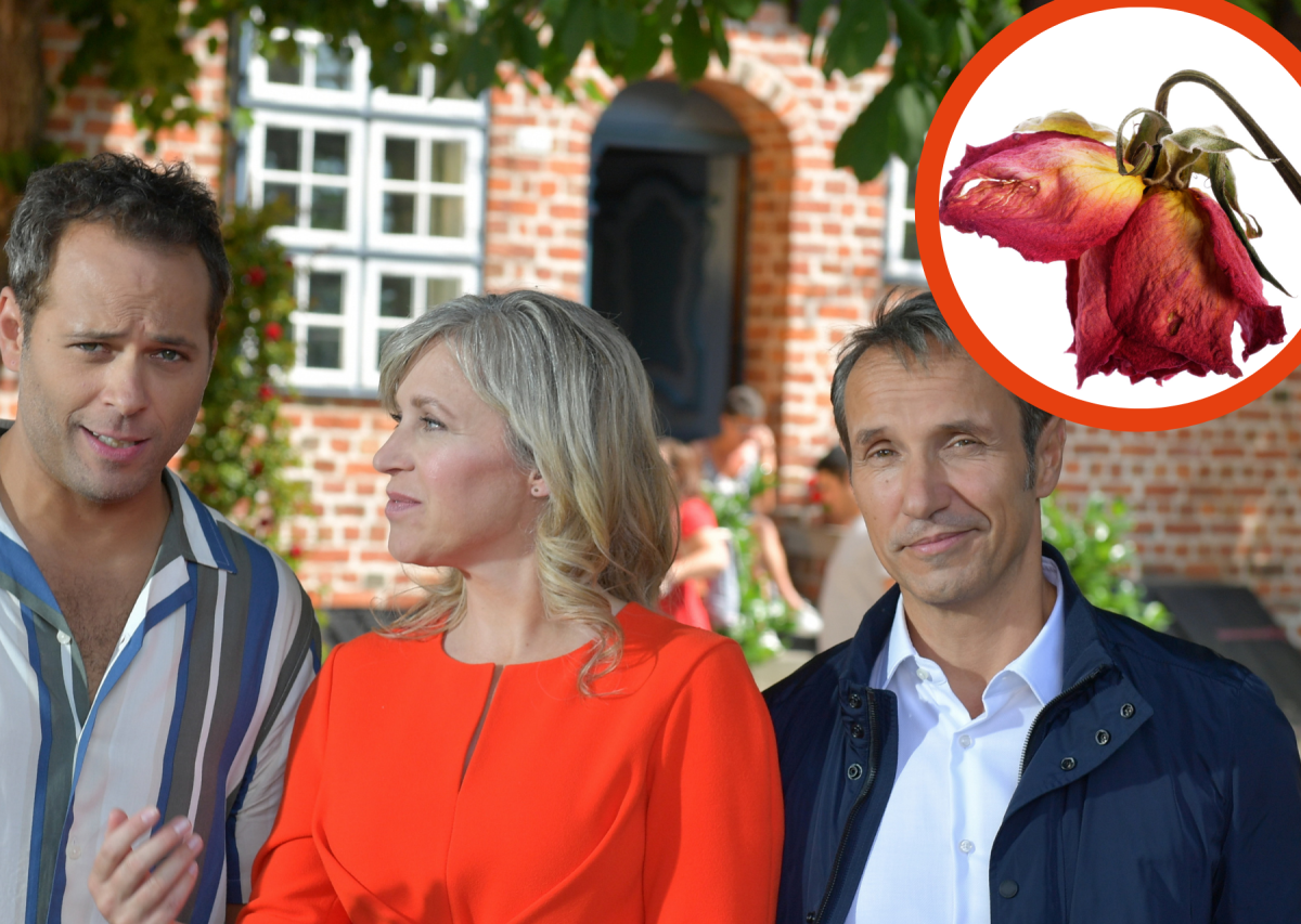 Rote Rosen.png