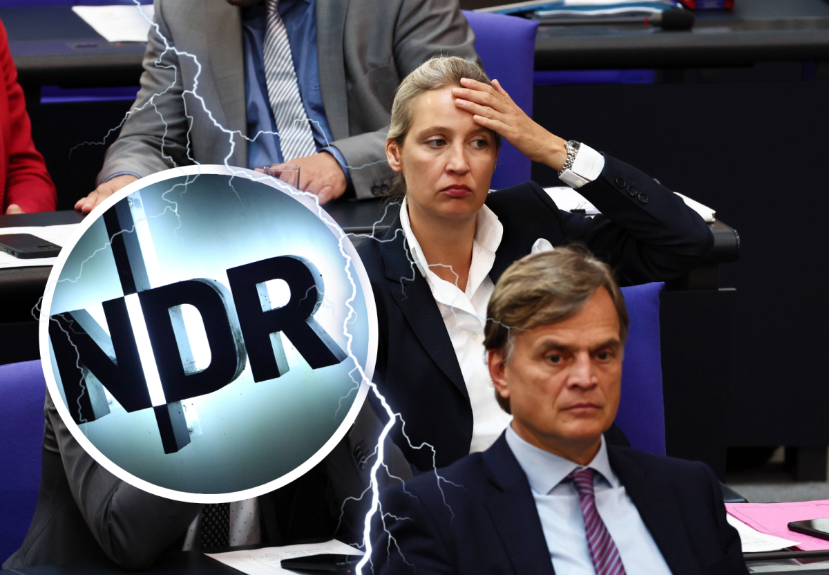 Afd NDR.png