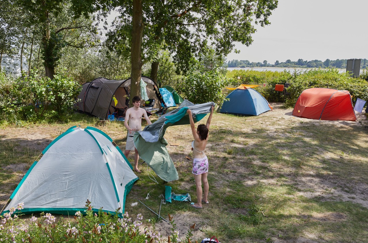 Eine Frau und ein Mann bauen im ElbeCamp ihr Zelt auf. Im Hintergrund ist die Elbe zu sehen.