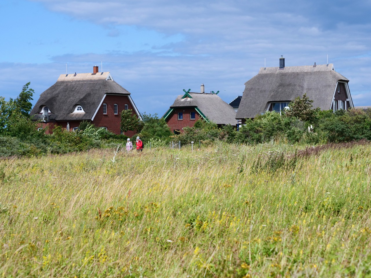 Rügen ist eine beliebte Insel für Ostsee-Urlauber (Symbolbild).