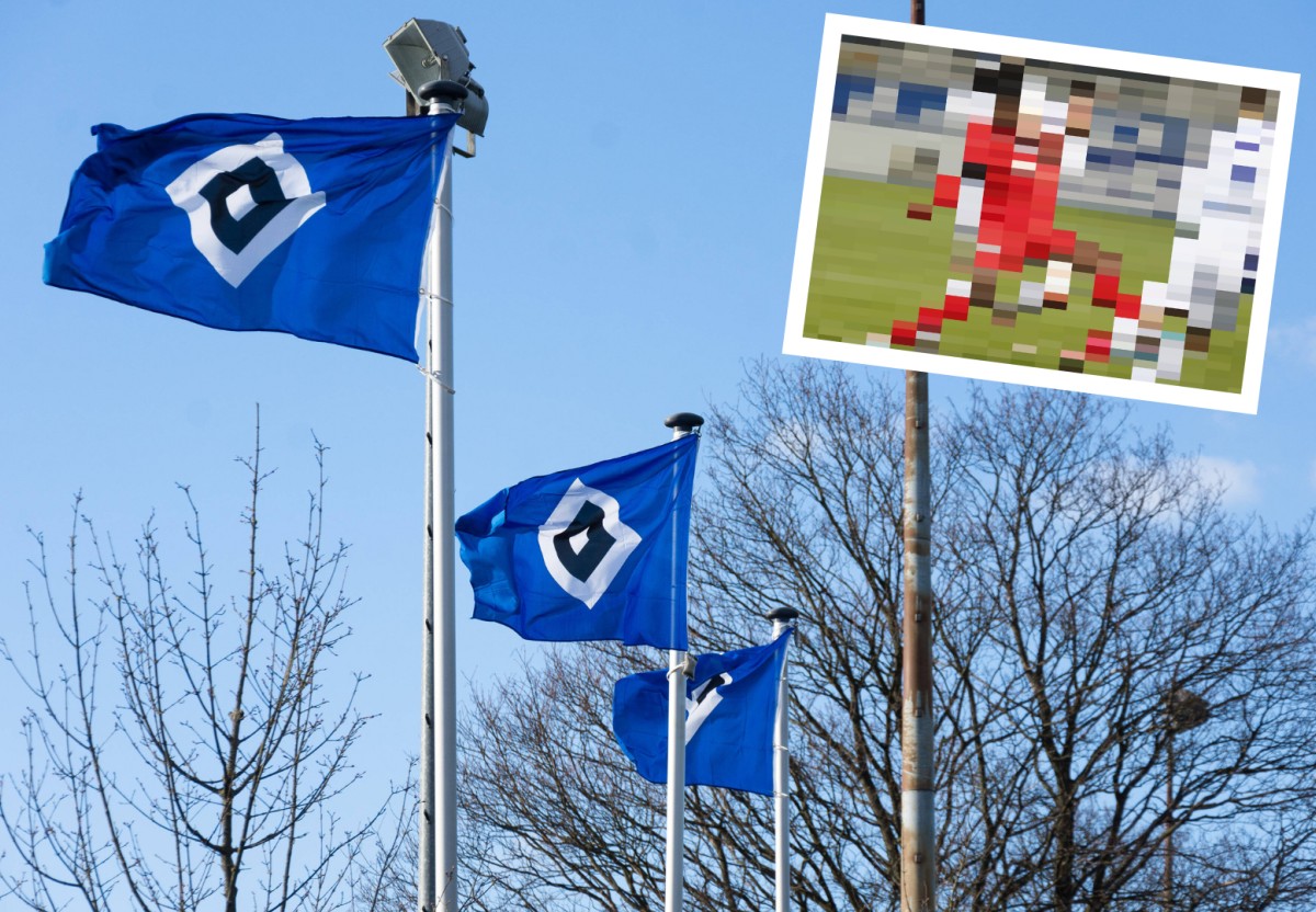 HSV Spieler Flagge.png