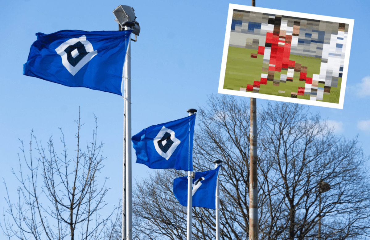 HSV Spieler Flagge.png
