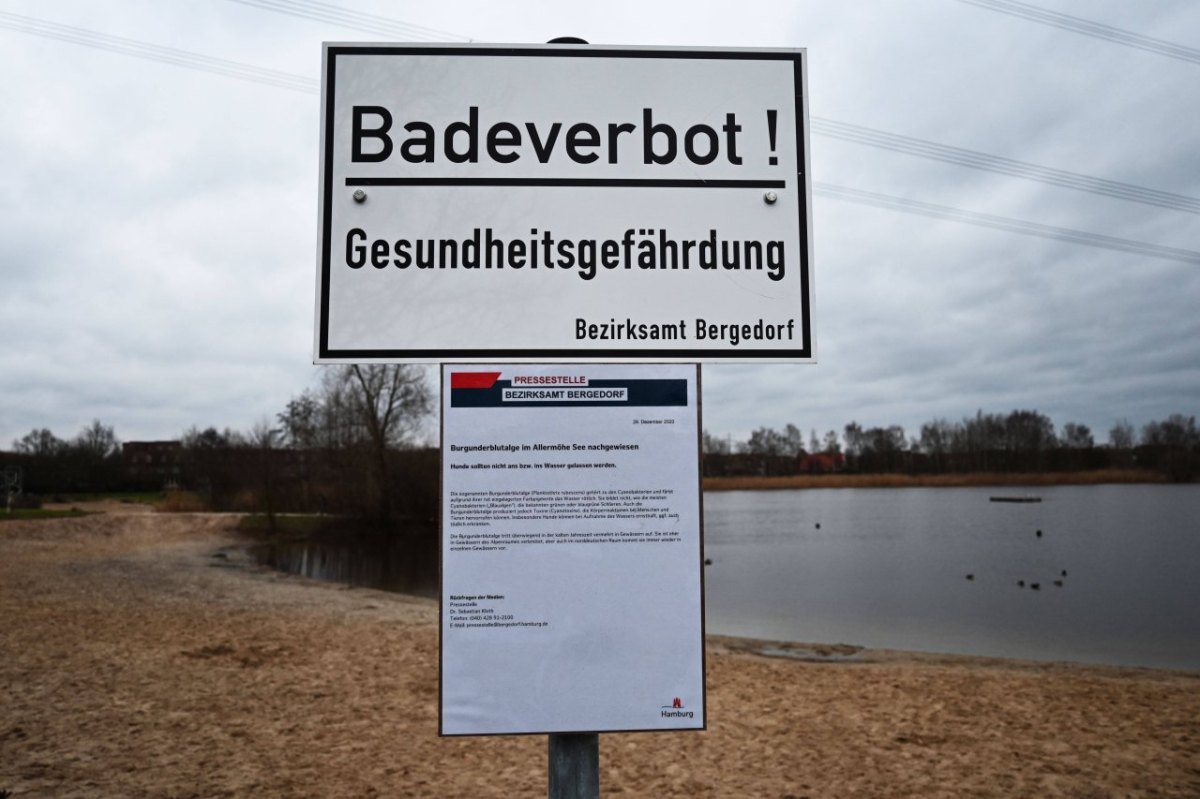 Hamburg Badeverbot.jpg