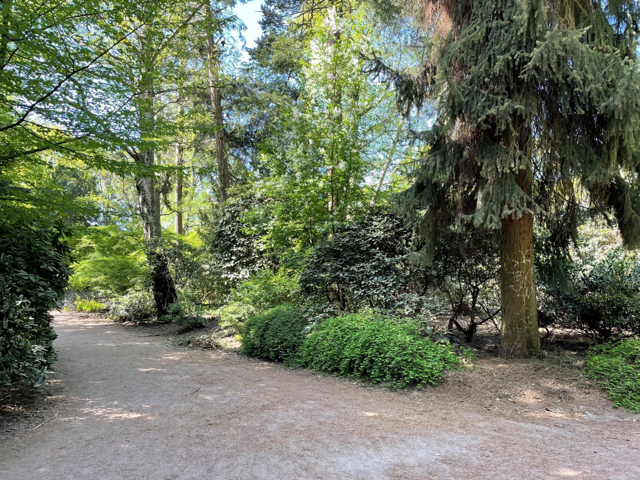 Das Opfer wurde von so einem Weg (Symbolfoto) in der Nähe der großen Festwiese im Hamburger Stadtpark in ein Gebüsch gezerrt.
