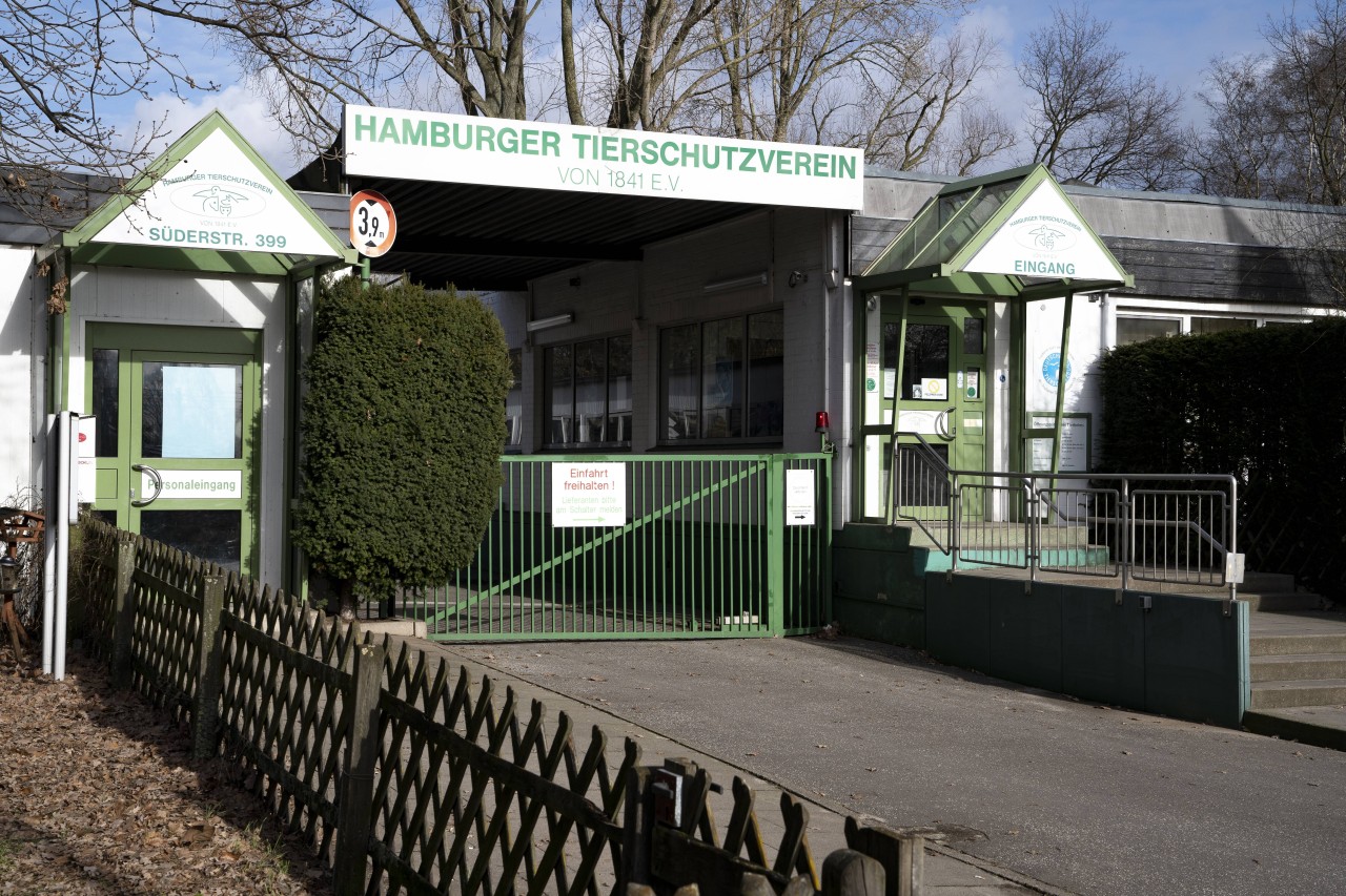 Der Hamburger Tierschutzverein von 1841 e.V. in der Süderstraße.