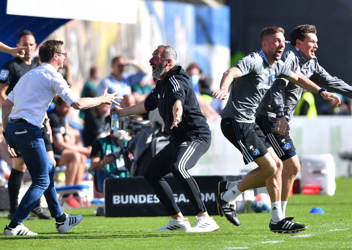 Hamburger SV HSV.jpg