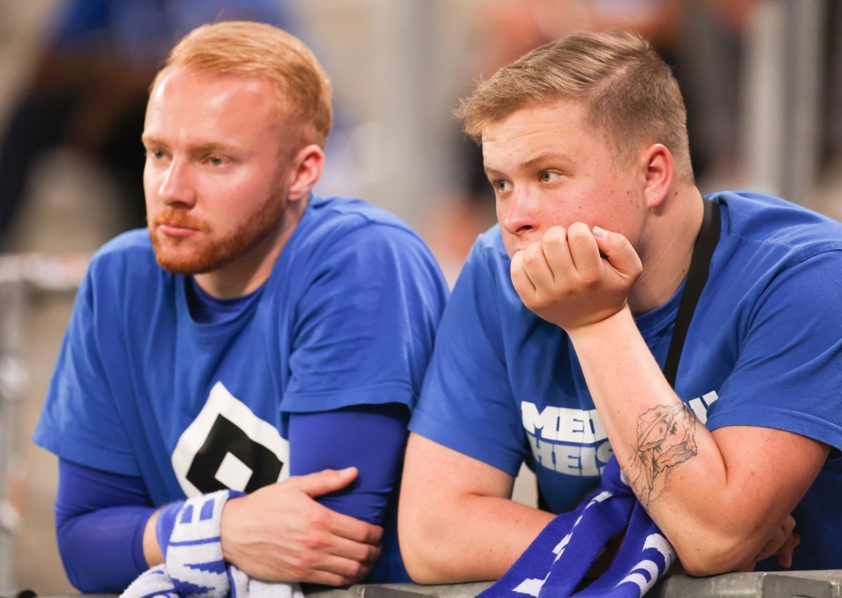 Hamburger Sv HSV.jpg