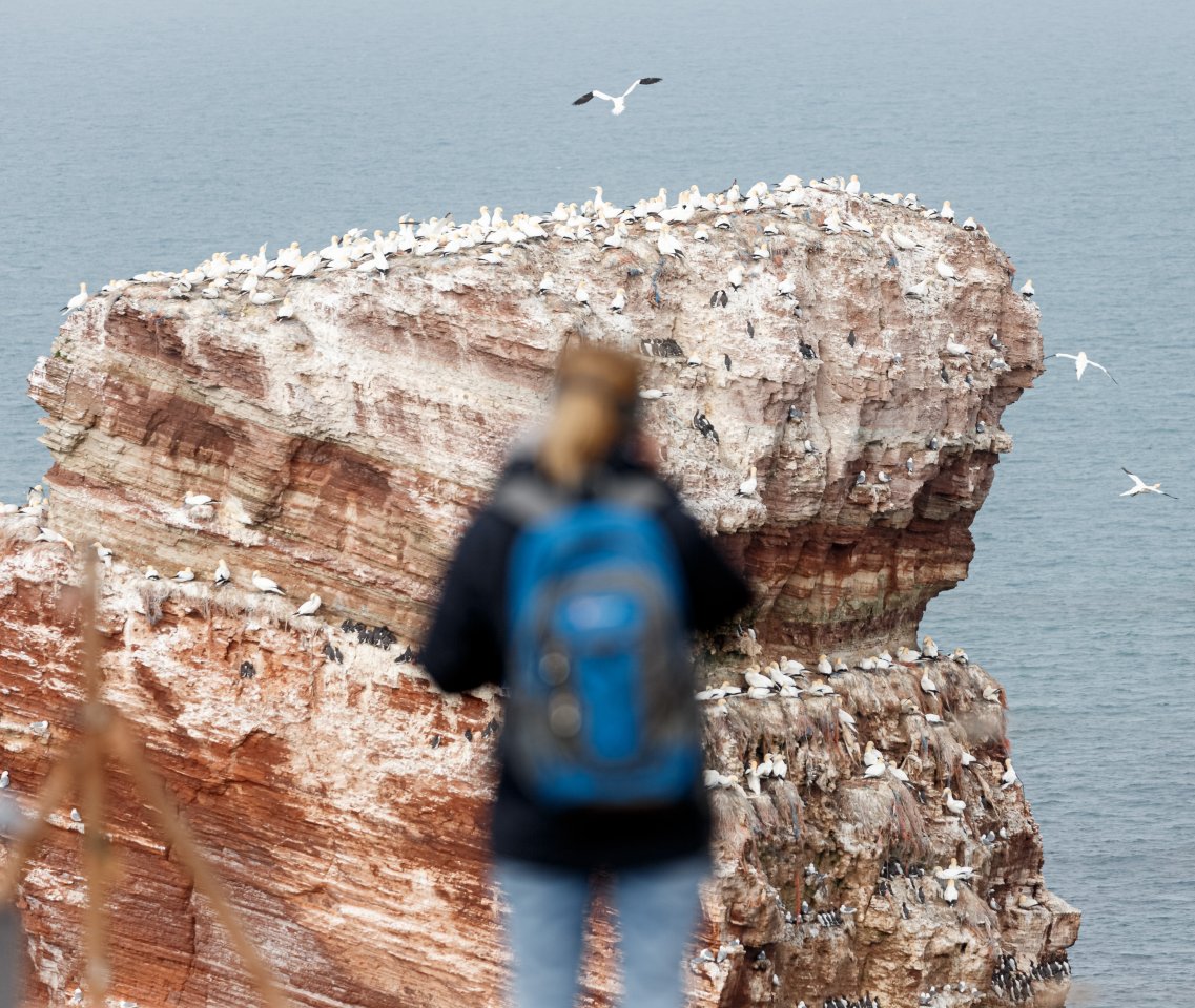 Helgoland.jpg