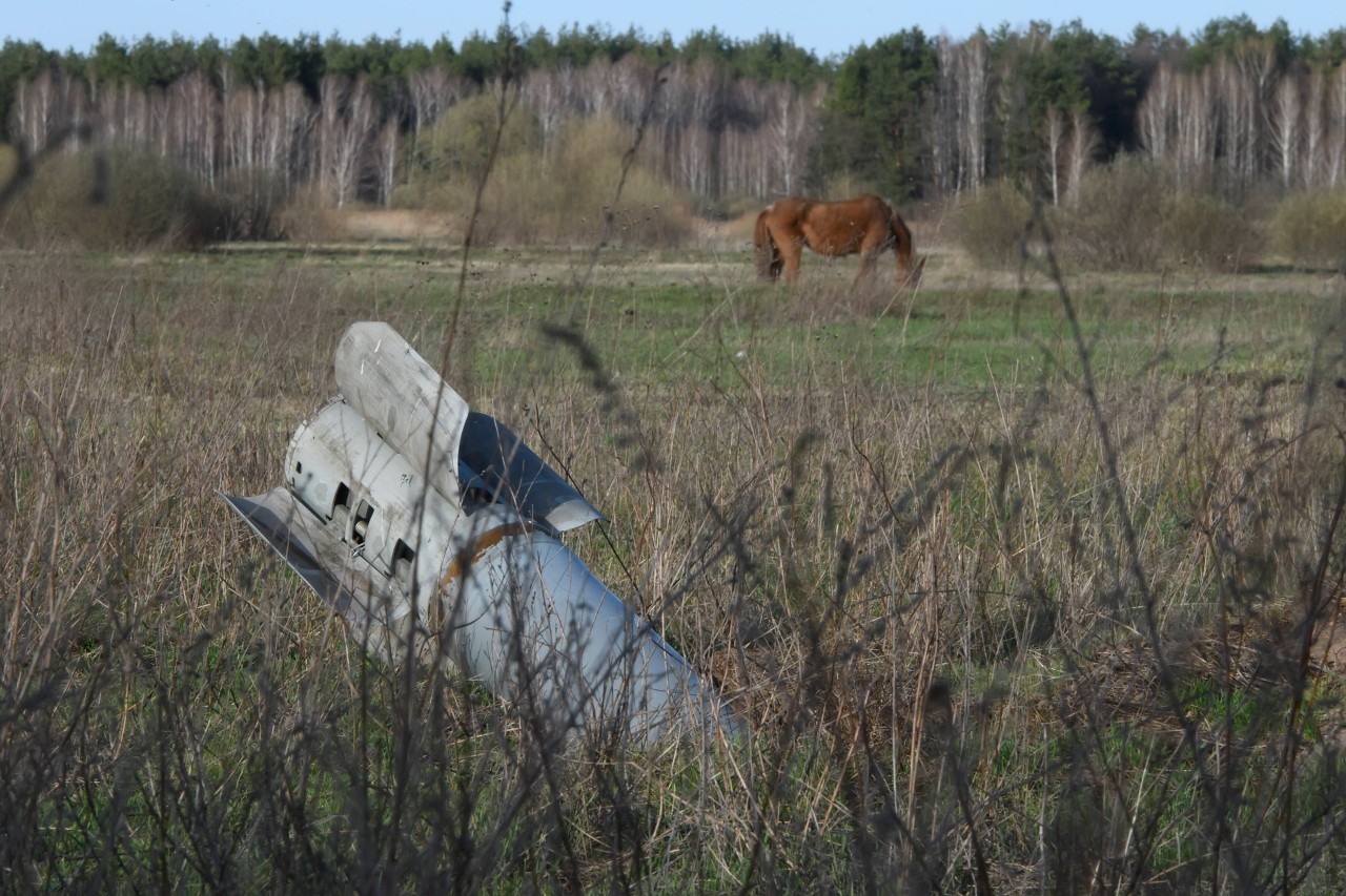 Ein Pferd steht hinter eine Rakete im Norden von Kiew in der Ukraine. Ein Verein aus Lübeck nahm Tiere aus dem Land auf.