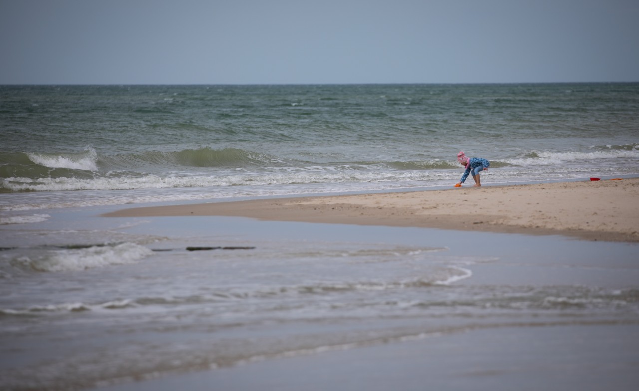Ein junges Mädchen macht einen schlimmen Fund an der Nordsee (Symbolfoto).