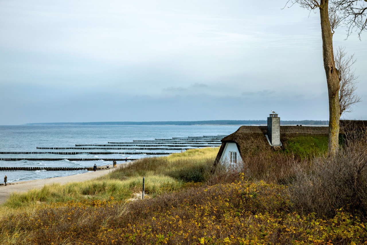 Ein Ferienhaus steht an der Ostsee (Symbolfoto).