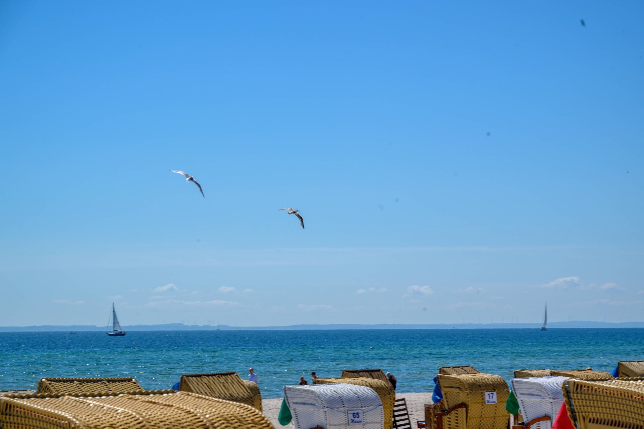 Kann schon was, die Ostsee...