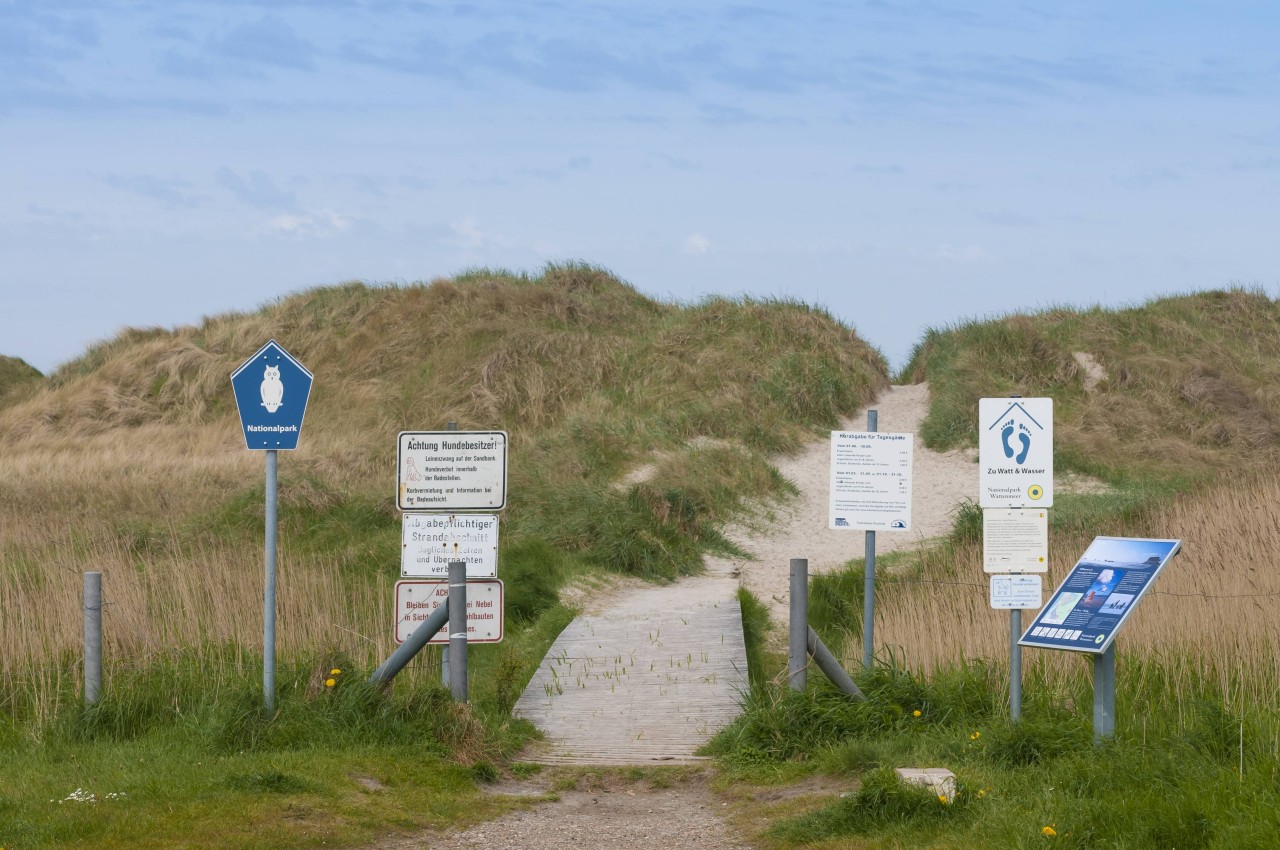 Dünen in Sankt Peter-Ording (SPO) mit diversen Hinweisschildern. Das Betreten ist in der Regel nur auf ausgewiesenen Wegen erlaubt. Dünen in Sankt Peter-Ording (SPO) mit diversen Hinweisschildern. Das Betreten ist in der Regel nur auf ausgewiesenen Wegen erlaubt.