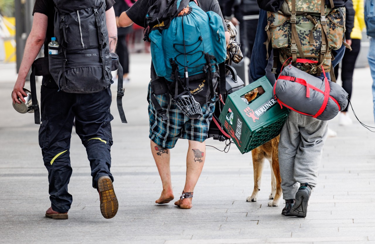 Punks: Sie wollten Sylt stürmen – jetzt stürmen sie Sylt.