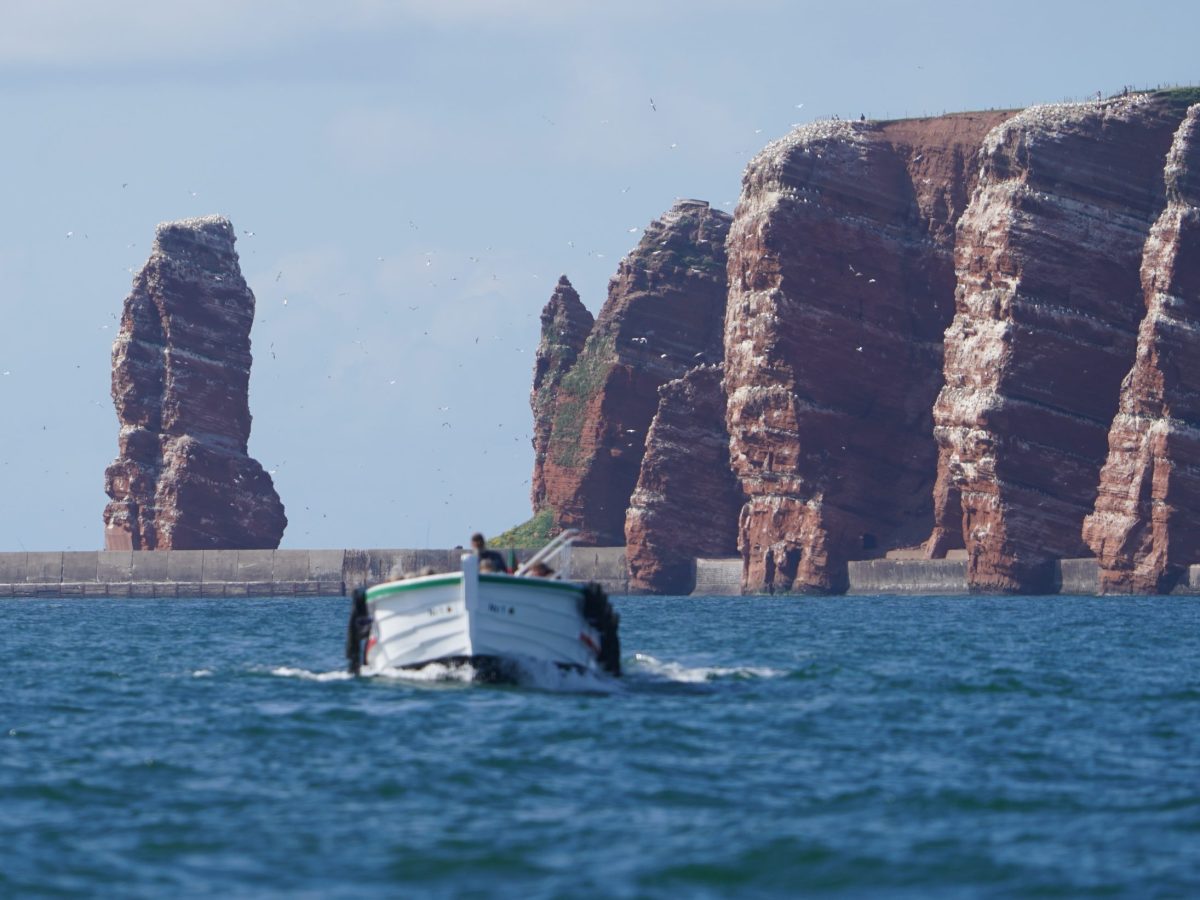 Lummenfelsen HElgoland